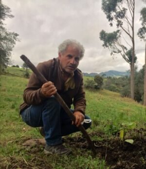 Francisco - Colômbia